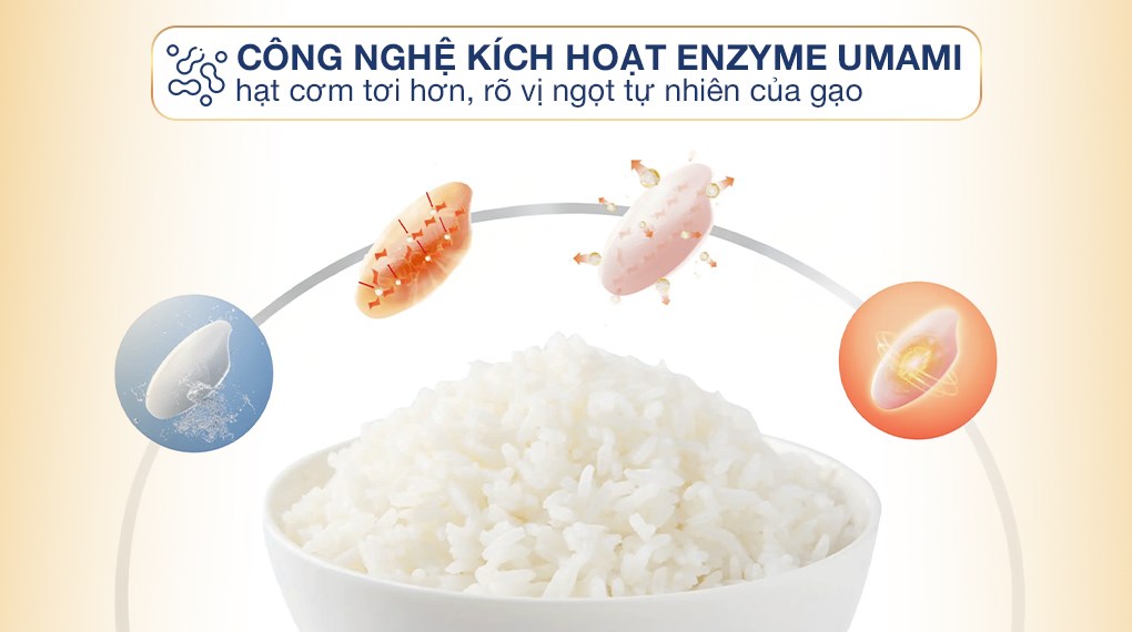 Nồi cơm điện tử Toshiba 1.8 lít RC-18DR5UVN(H)