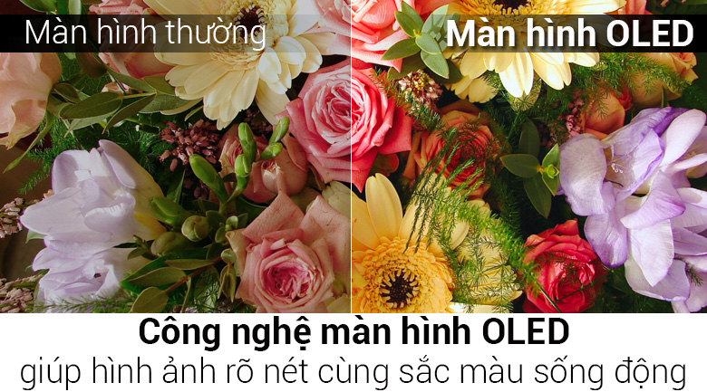 Smart Tivi OLED LG 4K 65 inch 65E7