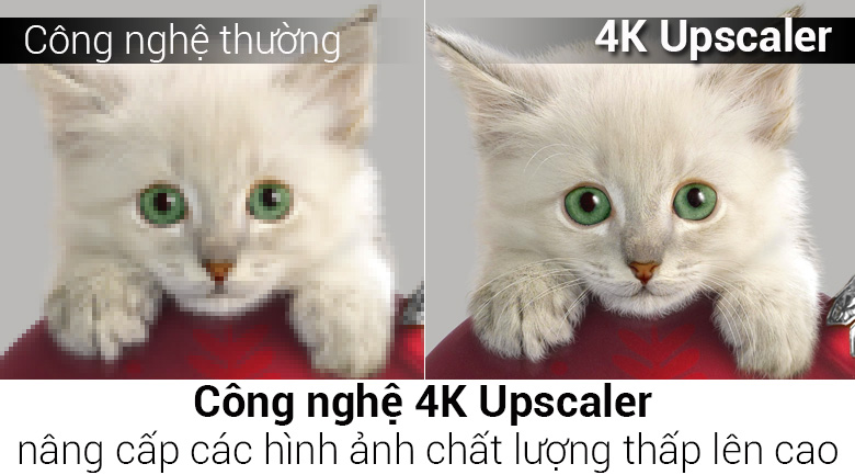 Smart Tivi OLED LG 4K 65 inch 65E7