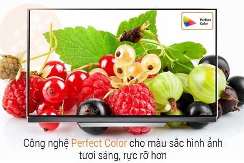 Công nghệ Perfect Color