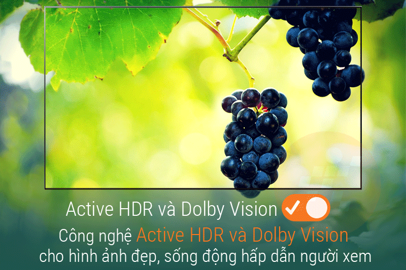 Công nghệ Active HDR