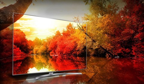 Hiển thị chân thật với dải màu sắc phong phú trên Smart Tivi LG 65 inch 65SJ850