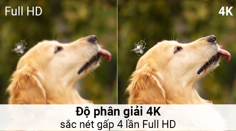 Smart Tivi LG 4K 49 inch 49SJ800T