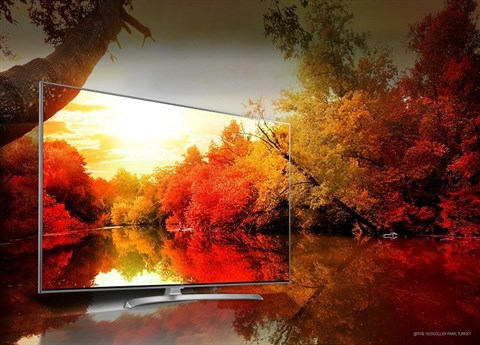 Hiển thị sống động với dải màu sắc đa dạng, phong phú trên Smart Tivi LG 4K 55 inch 55SJ800T