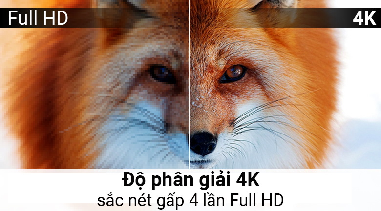Smart Tivi LG 4K 43 inch 43UJ750T