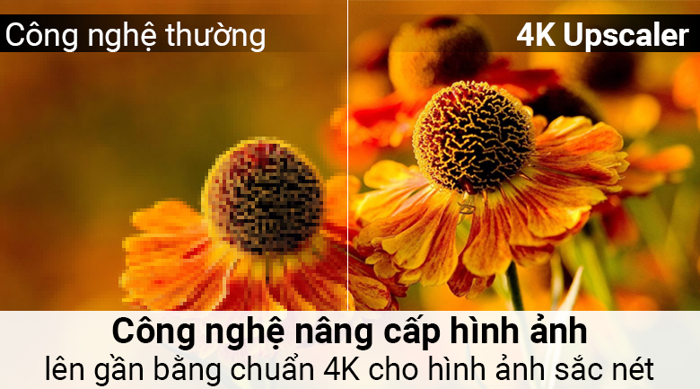 Smart Tivi LG 4K 43 inch 43UJ750T