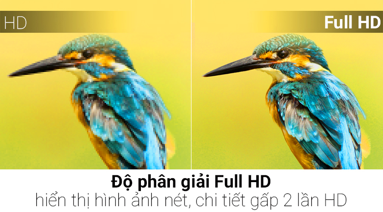 Tivi LG 43 inch 43LJ510T