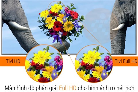 Tivi Full HD