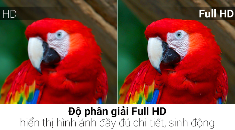 Tivi LG 49 inch 49LJ510T