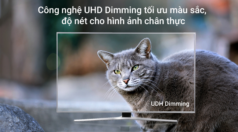 Smart Tivi Samsung 4K 43 inch UA43MU6400