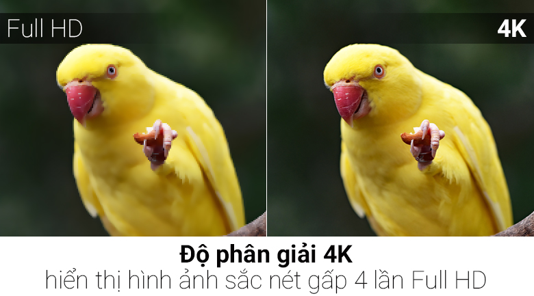 Android Tivi Sony 4K 55 inch KD-55X9000E/S