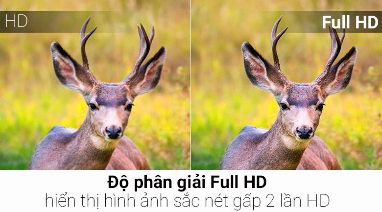 Smart Tivi LG 55 inch 55LJ550T