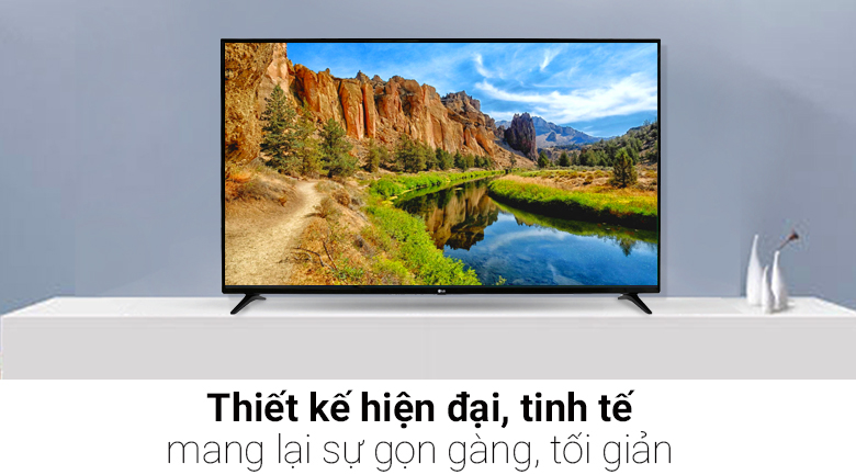Smart Tivi LG 49 inch 49LJ550T