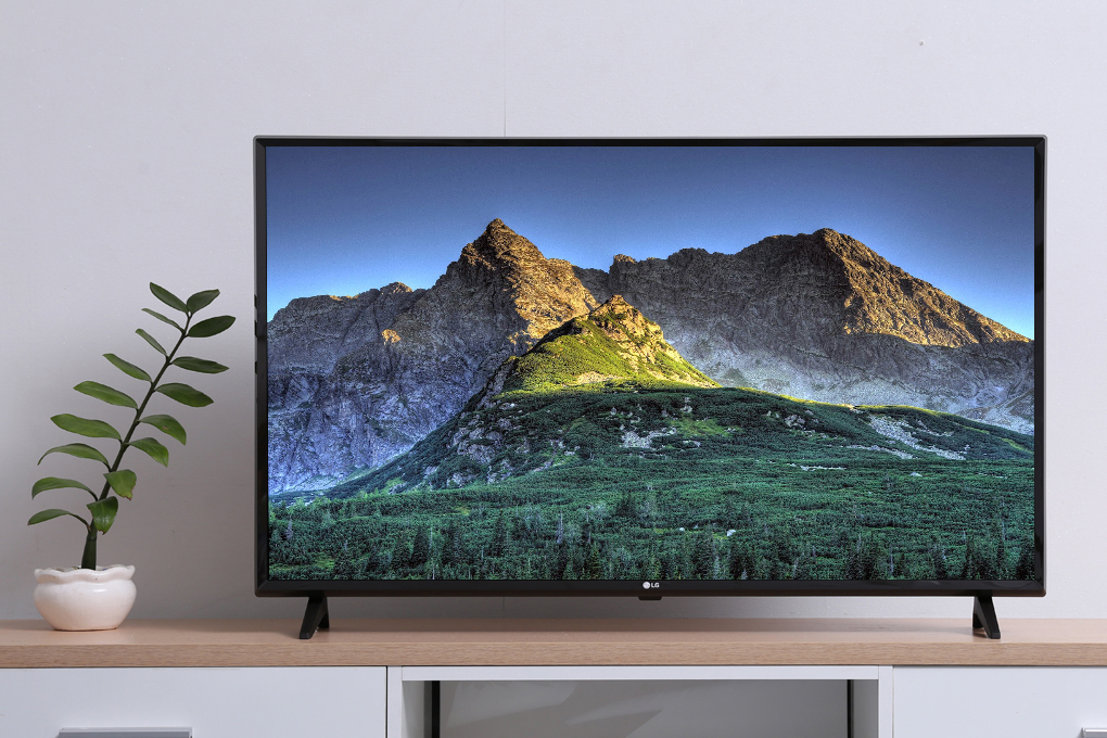 Smart Tivi LG 4K 43 inch 43UJ632T - 20