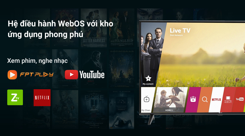 Smart Tivi LG 43 inch 43LJ553T