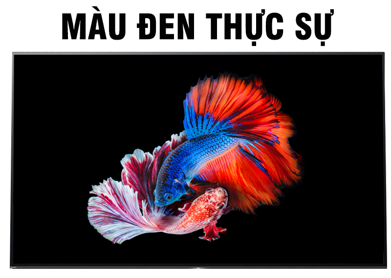 Màu đen thật sự nâng màu sắc trung thực