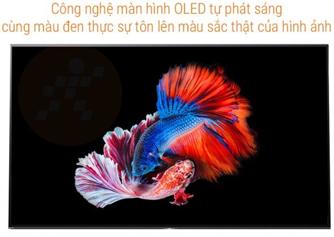 congnghehinhanh