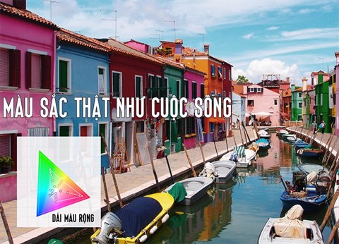 Công nghệ 4K HDR trên Android Tivi OLED Sony 65 inch KD-65A1