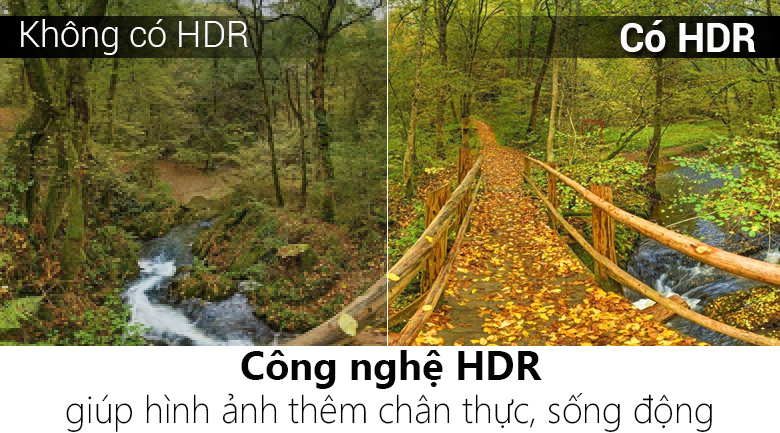 Internet Tivi Sony 4K 65 inch KD-65X7000E