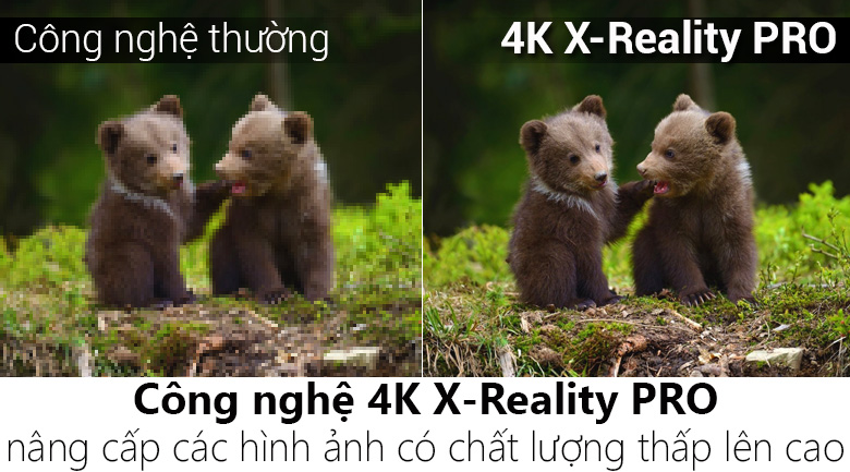 Internet Tivi Sony 4K 65 inch KD-65X7000E