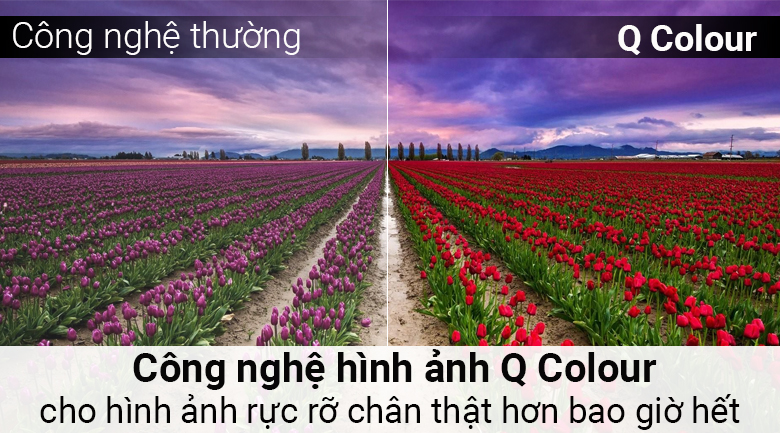 Smart Tivi QLED Samsung 4K 75 inch QA75Q7F