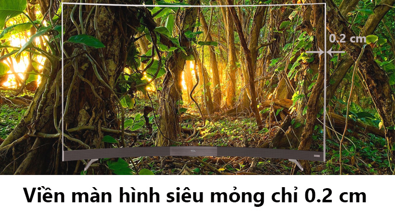 Smart Tivi TCL 55 inch L55P3-CF