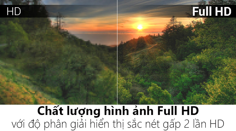 Smart Tivi TCL 55 inch L55P3-CF