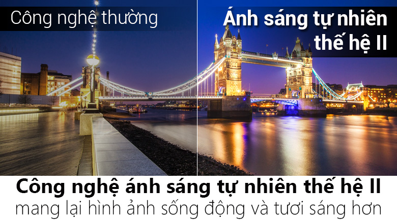 Smart Tivi TCL 55 inch L55P3-CF