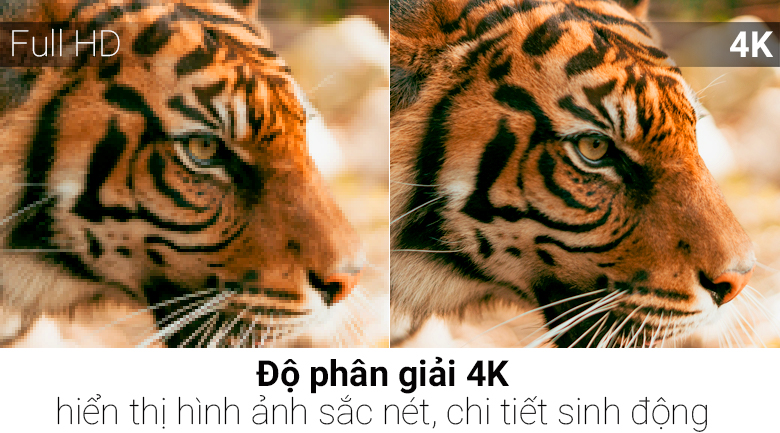 Tivi Khung Tranh Samsung 4K 65 inch UA65LS003A