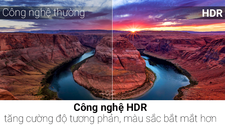 Smart Tivi TCL 4K 43 inch L43C2L-UF - 4
