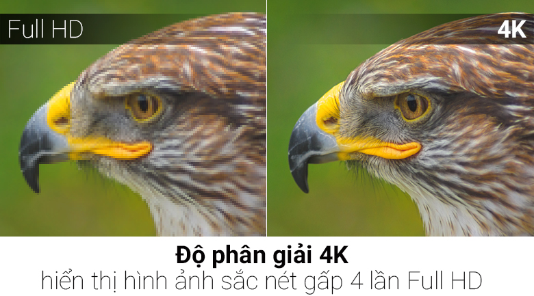 Smart Tivi TCL 4K 49 inch L49C2L-UF