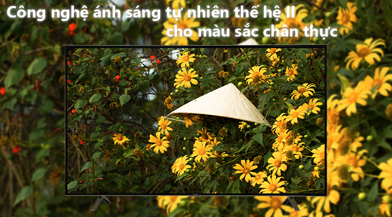 Smart Tivi TCL 55 inch L55S4900