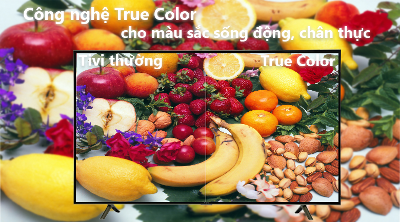 Smart Tivi TCL 55 inch L55S4900