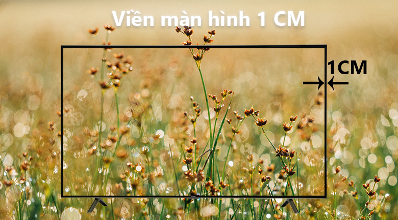 Smart Tivi TCL 55 inch L55S4900