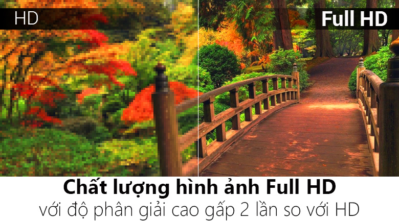 Smart Tivi TCL 49 inch L49S62