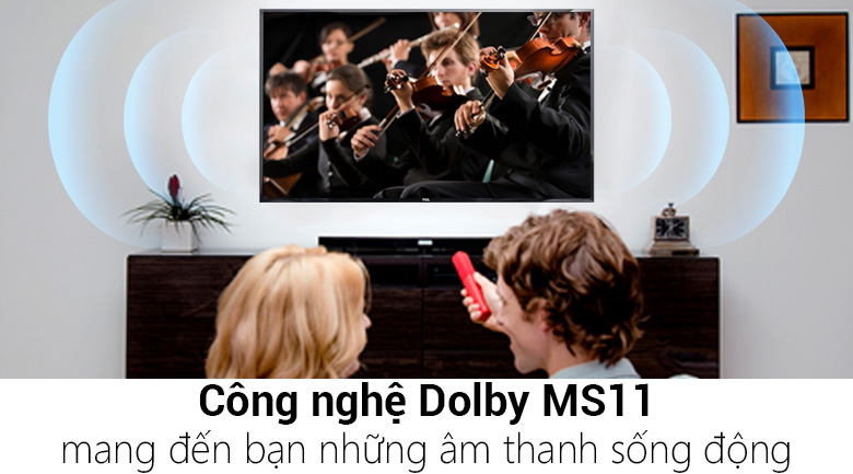 Smart Tivi TCL 49 inch L49S62