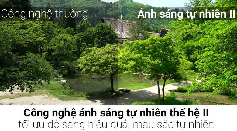 Smart Tivi TCL 4K 50 inch L50P6