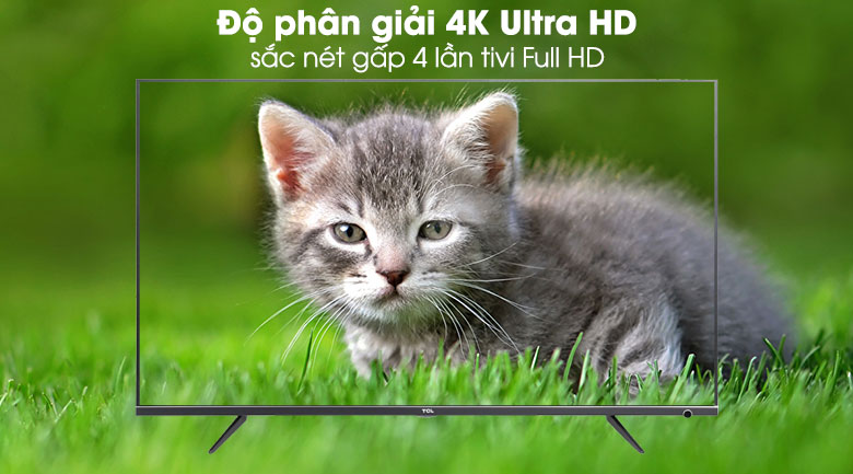 Smart Tivi TCL 4K 43 inch L43P6-UF