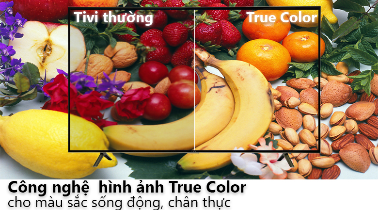 Smart Tivi TCL 4K 43 inch L43P6-UF