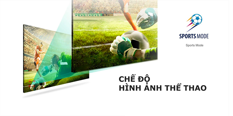 Smart Tivi LED TCL 4K 43 inch L43P6
