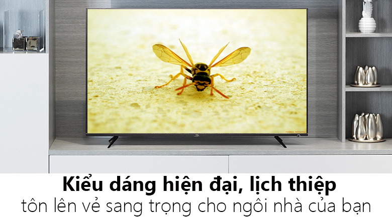 Smart Tivi TCL 4K 65 inch L65P6