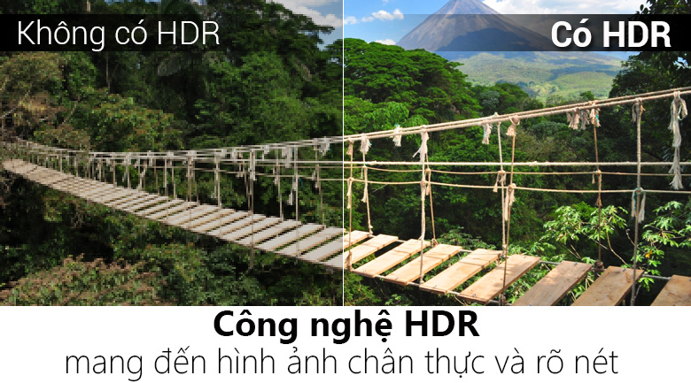 Smart Tivi TCL 4K 65 inch L65P6