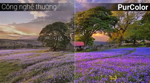 Công nghệ PurColor trên Smart tivi cong samsung 49 inch UA49M6303