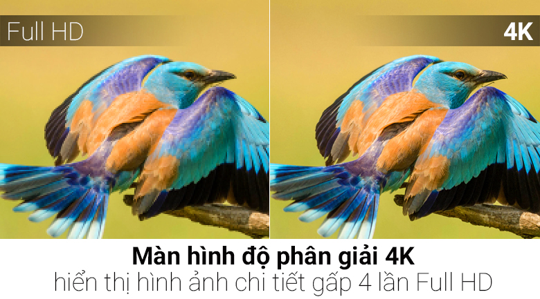 Smart Tivi OLED Panasonic 4K 65 inch TH-65EZ1000V