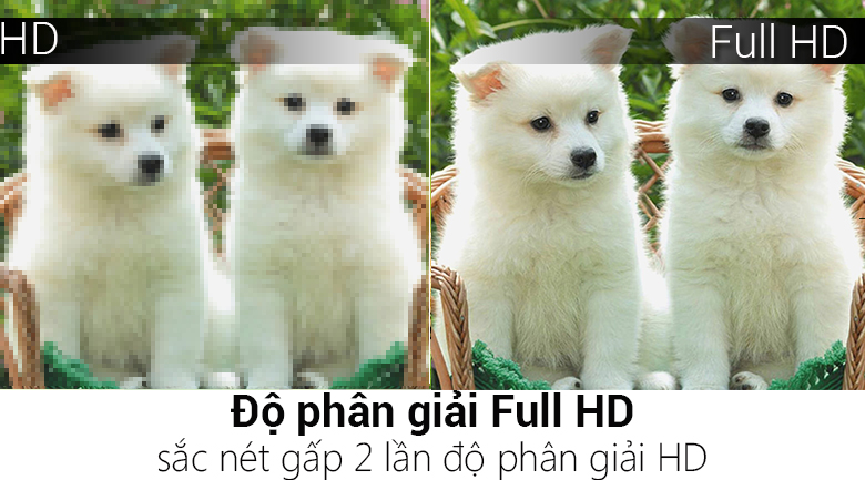 Smart Tivi TCL 32 inch L32S62T