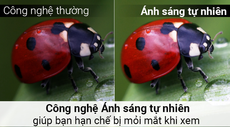 Smart Tivi TCL 4K 40 inch L40P62-UF