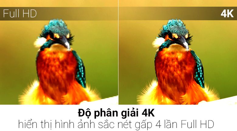 Smart Tivi TCL 4K 55 inch L55P6-UF