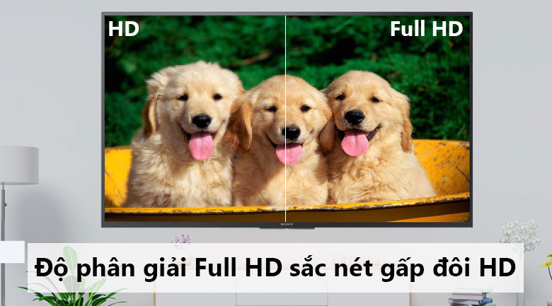 Android Tivi Sony 49 inch KDL-49W800F