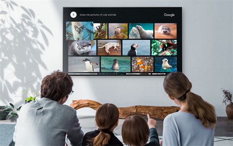 Kho giải trí phong phú trên Android Tivi Sony 49 inch KDL-49W800F