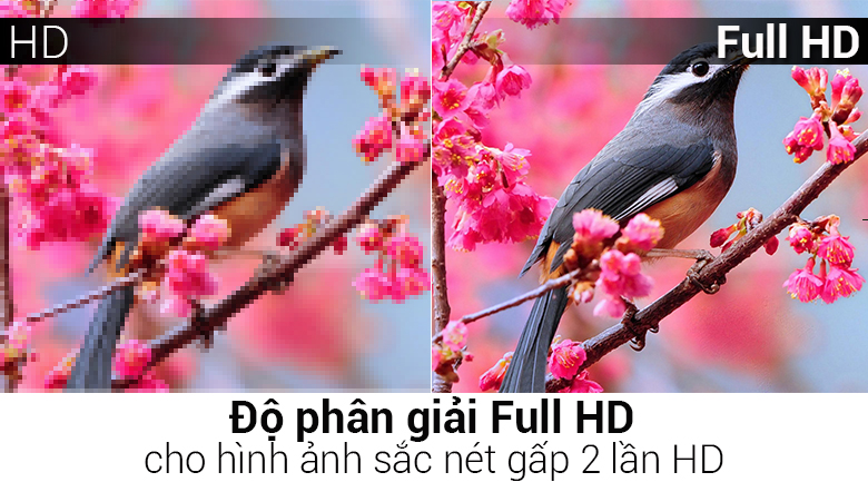 Smart Tivi TCL 55 inch L55S62